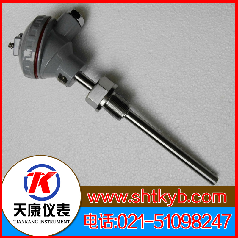 裝配式熱電偶WRE-231